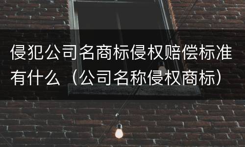 侵犯公司名商标侵权赔偿标准有什么（公司名称侵权商标）