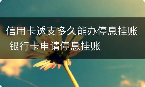 信用卡透支多久能办停息挂账 银行卡申请停息挂账