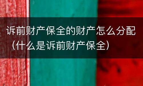 诉前财产保全的财产怎么分配（什么是诉前财产保全）