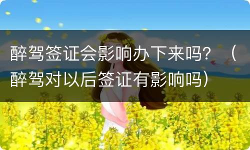 醉驾签证会影响办下来吗？（醉驾对以后签证有影响吗）
