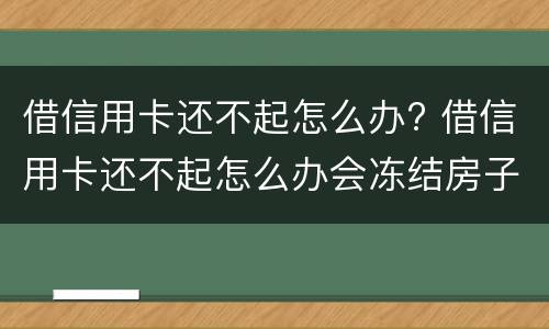 借信用卡还不起怎么办? 借信用卡还不起怎么办会冻结房子吗