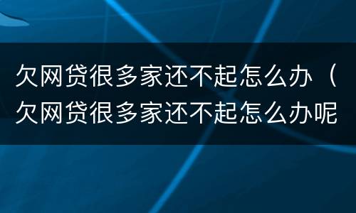 欠网贷很多家还不起怎么办（欠网贷很多家还不起怎么办呢）