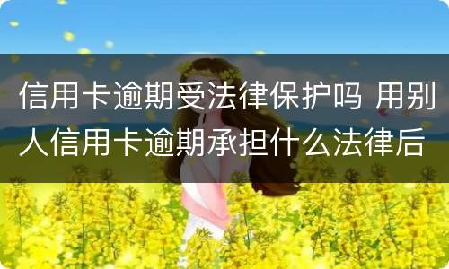 信用卡逾期受法律保护吗 用别人信用卡逾期承担什么法律后果