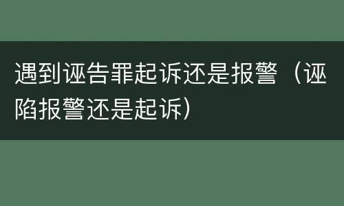遇到诬告罪起诉还是报警（诬陷报警还是起诉）