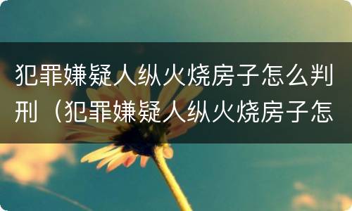 犯罪嫌疑人纵火烧房子怎么判刑（犯罪嫌疑人纵火烧房子怎么判刑的）