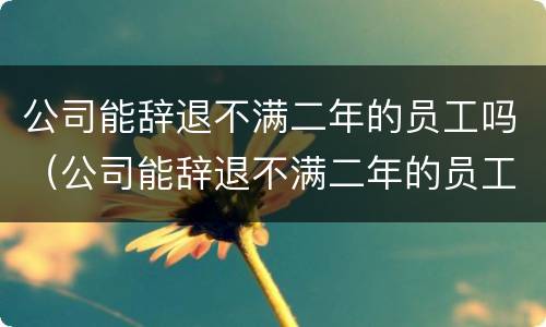 公司能辞退不满二年的员工吗（公司能辞退不满二年的员工吗怎么赔偿）