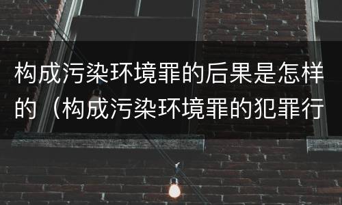 构成污染环境罪的后果是怎样的（构成污染环境罪的犯罪行为）