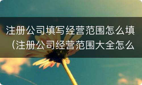 注册公司填写经营范围怎么填（注册公司经营范围大全怎么写）