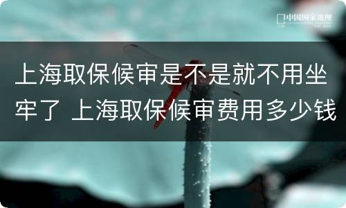 上海取保候审是不是就不用坐牢了 上海取保候审费用多少钱