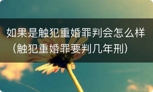 如果是触犯重婚罪判会怎么样（触犯重婚罪要判几年刑）
