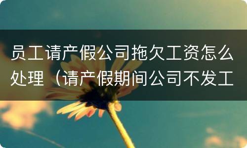 员工请产假公司拖欠工资怎么处理（请产假期间公司不发工资违法吗?）