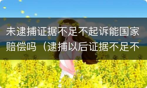 未逮捕证据不足不起诉能国家赔偿吗（逮捕以后证据不足不予起诉）