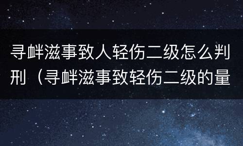 寻衅滋事致人轻伤二级怎么判刑（寻衅滋事致轻伤二级的量刑标准）