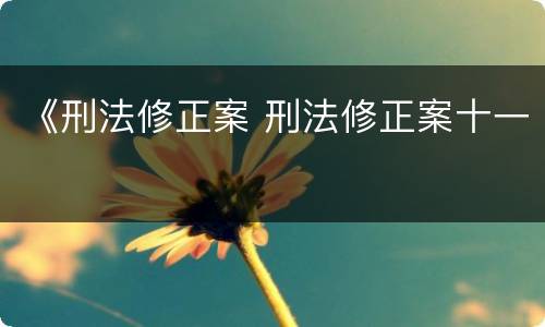 《刑法修正案 刑法修正案十一