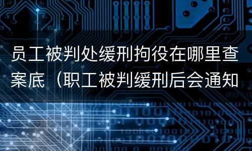 员工被判处缓刑拘役在哪里查案底（职工被判缓刑后会通知单位吗）
