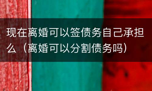 现在离婚可以签债务自己承担么（离婚可以分割债务吗）