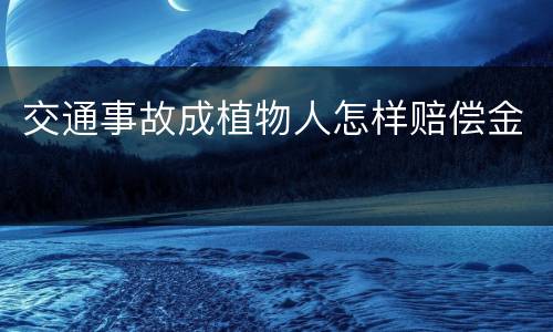 交通事故成植物人怎样赔偿金