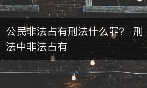 公民非法占有刑法什么罪？ 刑法中非法占有