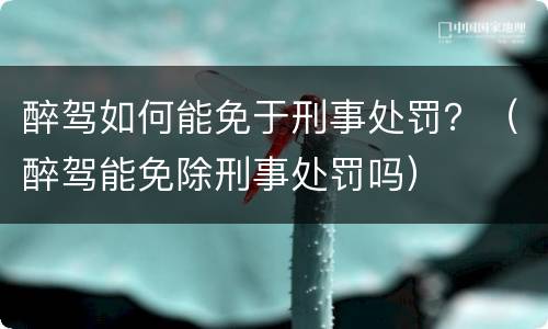 醉驾如何能免于刑事处罚？（醉驾能免除刑事处罚吗）