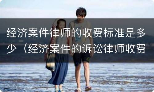 经济案件律师的收费标准是多少（经济案件的诉讼律师收费标准是多少）