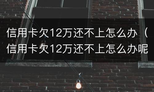 信用卡欠12万还不上怎么办（信用卡欠12万还不上怎么办呢）