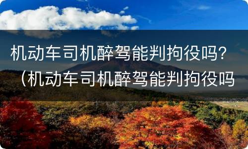机动车司机醉驾能判拘役吗？（机动车司机醉驾能判拘役吗）