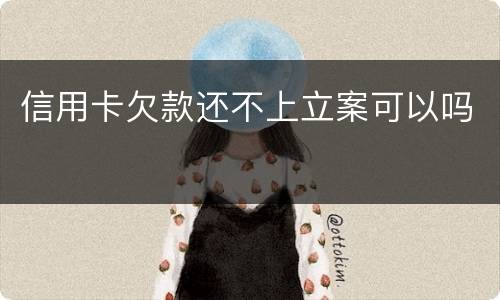 信用卡欠款还不上立案可以吗
