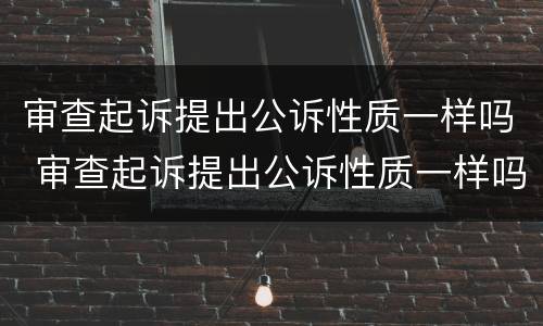 审查起诉提出公诉性质一样吗 审查起诉提出公诉性质一样吗法院