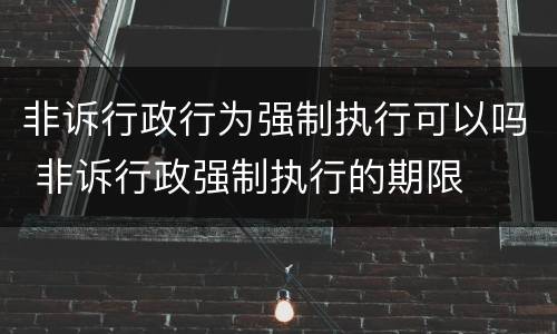非诉行政行为强制执行可以吗 非诉行政强制执行的期限