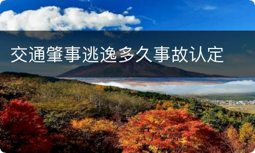 交通肇事逃逸多久事故认定