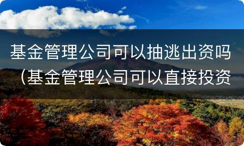 基金管理公司可以抽逃出资吗（基金管理公司可以直接投资吗）