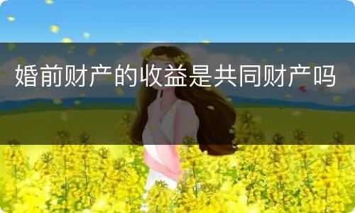 婚前财产的收益是共同财产吗