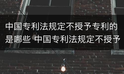 中国专利法规定不授予专利的是哪些 中国专利法规定不授予专利的是哪些项目