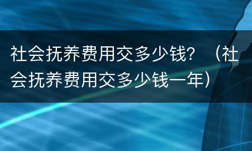 社会抚养费用交多少钱？（社会抚养费用交多少钱一年）
