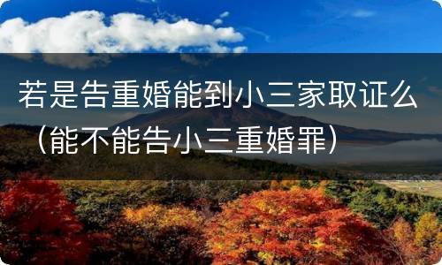 若是告重婚能到小三家取证么（能不能告小三重婚罪）