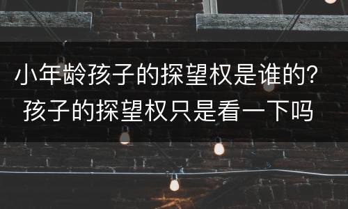 小年龄孩子的探望权是谁的？ 孩子的探望权只是看一下吗
