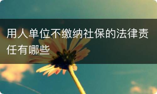 用人单位不缴纳社保的法律责任有哪些