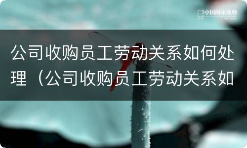 公司收购员工劳动关系如何处理（公司收购员工劳动关系如何处理好）