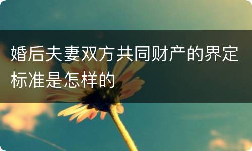 婚后夫妻双方共同财产的界定标准是怎样的