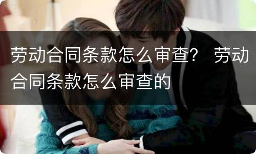 劳动合同条款怎么审查？ 劳动合同条款怎么审查的