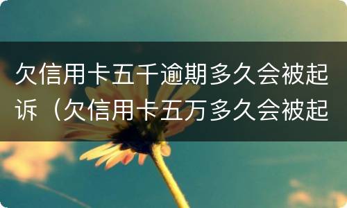 欠信用卡五千逾期多久会被起诉（欠信用卡五万多久会被起诉）