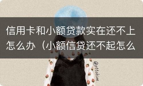 信用卡和小额贷款实在还不上怎么办（小额信贷还不起怎么办）