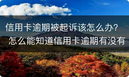 信用卡逾期被起诉该怎么办？ 怎么能知道信用卡逾期有没有被起诉