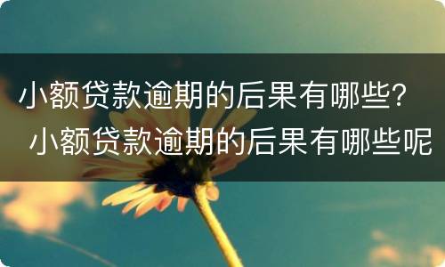 小额贷款逾期的后果有哪些？ 小额贷款逾期的后果有哪些呢