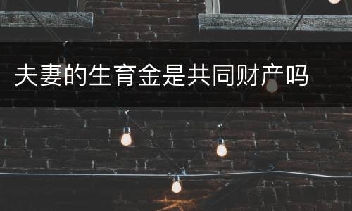 夫妻的生育金是共同财产吗