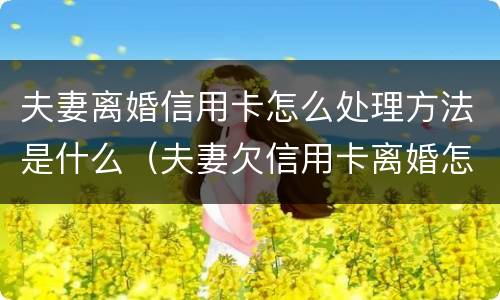 夫妻离婚信用卡怎么处理方法是什么（夫妻欠信用卡离婚怎么处理）