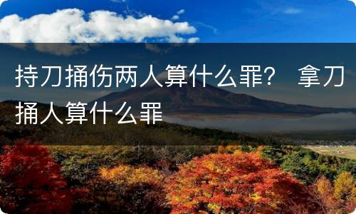 持刀捅伤两人算什么罪？ 拿刀捅人算什么罪