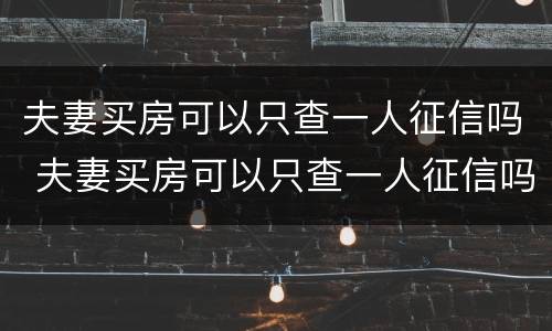 夫妻买房可以只查一人征信吗 夫妻买房可以只查一人征信吗,以一个人贷款可以吗