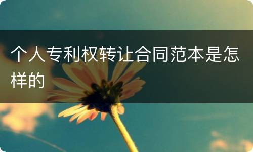个人专利权转让合同范本是怎样的