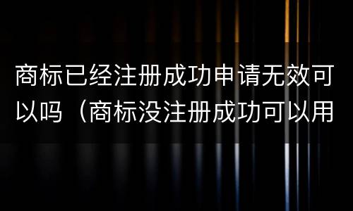 商标已经注册成功申请无效可以吗（商标没注册成功可以用吗）